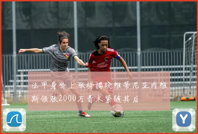 法甲身价上涨榜揭晓维蒂尼亚内维斯领涨2000万青木紧随其后
