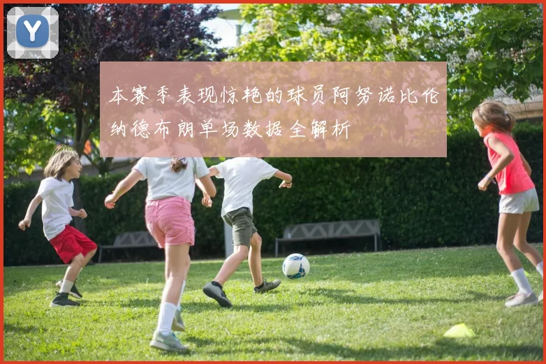 本赛季表现惊艳的球员阿努诺比伦纳德布朗单场数据全解析